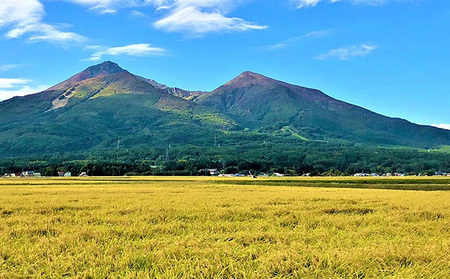 令和5年産 福島県産 あさか舞コシヒカリ 精米10kg（5kg×2袋）