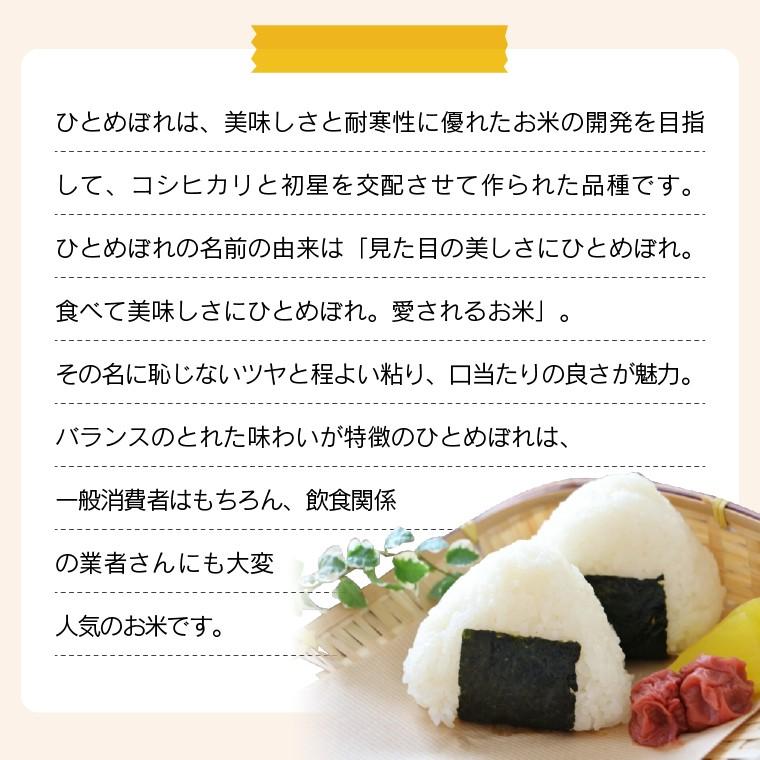 新米 令和５年 お米 20kg 福島県産 ひとめぼれ 無洗米 送料無料 精米  米