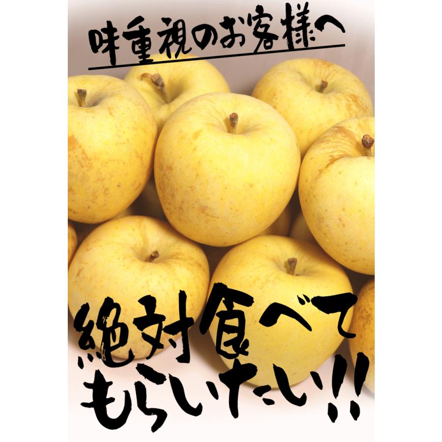 あすつく 青森 りんご 10kg箱 サンはるか 送料無料 家庭用 訳あり 青森 リンゴ 訳あり 10キロ箱★サンはるか 家訳 10kg箱