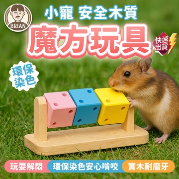 小寵魔方玩具【布萊恩👨🏻隔日到貨】小寵益智玩具 小寵玩具 倉鼠玩具 造景玩具 鼠籠造景 倉鼠解悶玩具  倉鼠用品