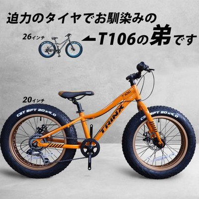 ファットバイク 20インチ Wディスクブレーキ 自転車本体