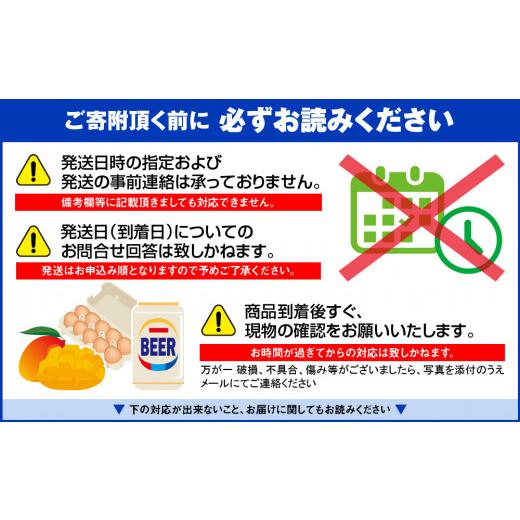 ふるさと納税 沖縄県 南風原町 いもり屋の沖縄県産　人参　5kg