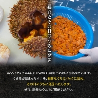 北海道 利尻 島産「朝どり」生うに塩水パック80g（蝦夷 バフンウニ）［2024年6月発送開始先行受付］ウニ 塩水ウニ