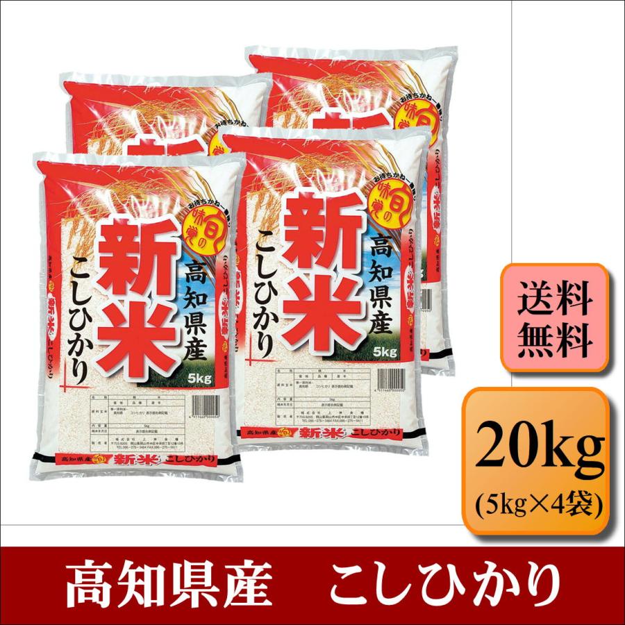 新米　令和５年産　高知県産　こしひかり　20kg(5kg×4袋)　米　お米　おこめ　白米　精米　