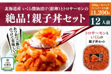 北海道産いくら醤油漬け（鮭卵）とトロサーモンの絶品！親子丼セット1.2kg（200ｇ×６個）
