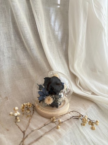 可急單 永生玫瑰花鐘罩 教師節禮物 畢業  生日禮