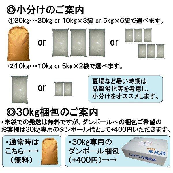 新米 30kg 送料無料 富山県 つきあかり 2等玄米 クーポンで500円引き