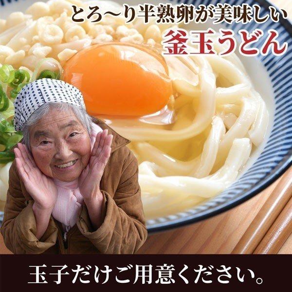 送料無料 池上製麺所 讃岐生うどん 180g×2袋 得トクセール 食品 ポイント消化 お試し うどん 取り寄せ ご当地グルメ