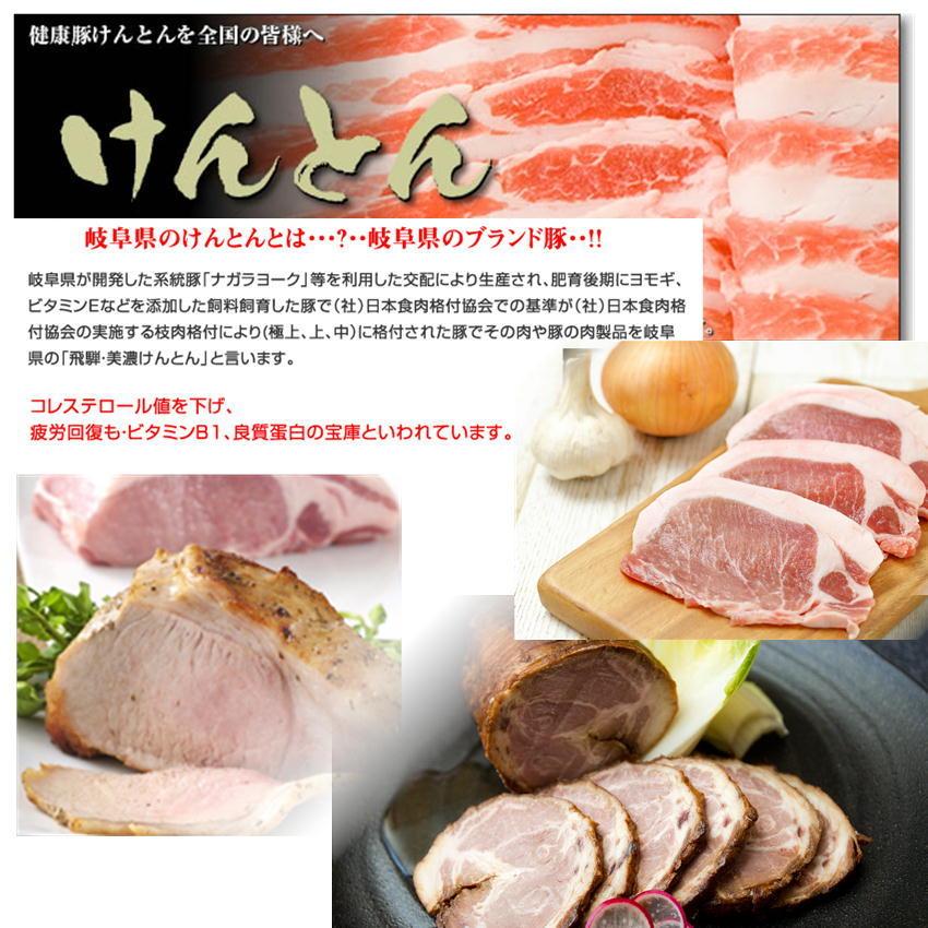 国産豚肉 豚ロース しゃぶしゃぶ 500g  おいしい岐阜県産の豚肉 けんとん豚 お鍋 豚肉 巻用 スライス