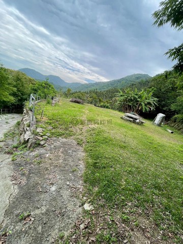 草屯優質露營區農地⛺｜南投縣草屯鎮山茶段