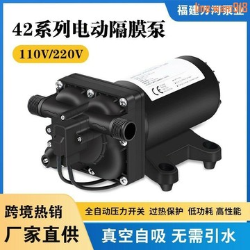 【店長推薦】220V交流隔膜泵噴霧灌溉清洗抽水泵熱水器房車自吸增壓供水泵
