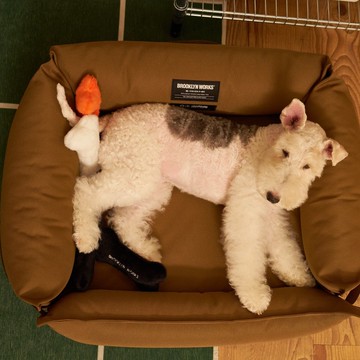 BROOKLYNWORKS Pet Toy 寵物墊 -兩色任選