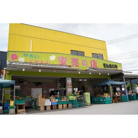 ふるさと納税 目利きのプロ 八百屋厳選 野菜詰め合わせセット（8〜10種類お届け） H151-010 愛知県碧南市