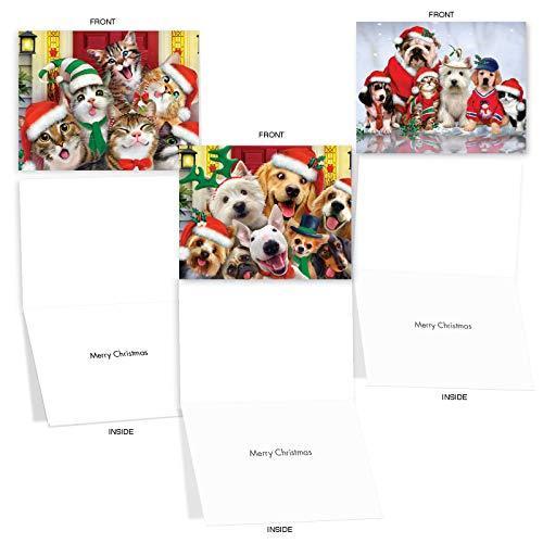 グリーティングカード |Merry Christmas to動物園クリスマスユーモアカード 10 Assorted Christmas Cards