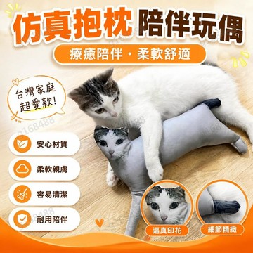 🌟臺灣出貨🌟客製醜貓抱枕 卡通枕頭 DIY照片靠墊 真人照片客製 寵物造型抱枕 卡通動漫風格 生日禮物送禮