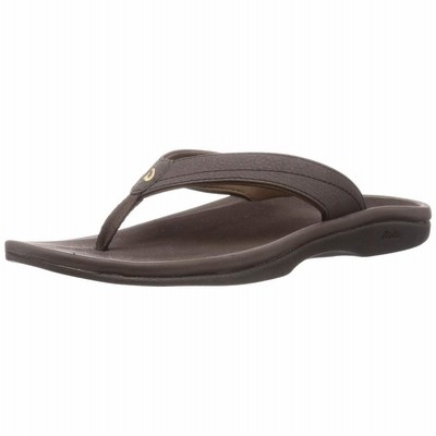 Chaco レディース Zvolv サンダル， アンビットJava， 長期保証付