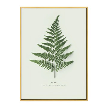 躍動的生命力 蕨類植物印花  59.4 x 42cm  金色