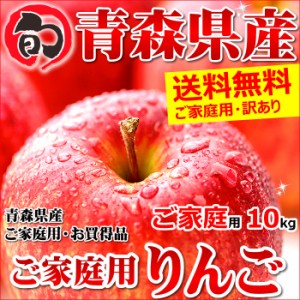 青森県産 りんご サンふじ 10kg (ご家庭用 22～46玉 生食可)