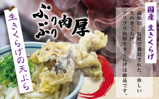 22-218．麦屋のお店の天ぷらがご自宅で楽しめる♪麦屋の四万十うどんと天ぷらセット（合計48食）