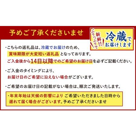 ふるさと納税 豪華 とらふぐ  三昧セット ※白子付(刺身・鍋2〜3人前) ※備考欄に指定日をご入力ください 福岡県北九州市