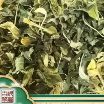 野生黃Q葉 莖葉花 黃氏葉花  黃Q自然曬幹泡水泡茶250-500g【原材批發】
