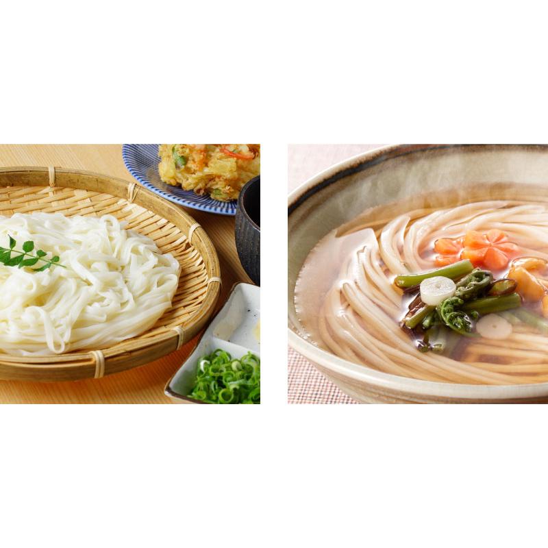 レンジでつくる釜揚げうどん１人前つゆ付×24袋（5805-24）