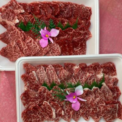 ふるさと納税 菊池市 焼肉用 モモ・ウデ 合計800g