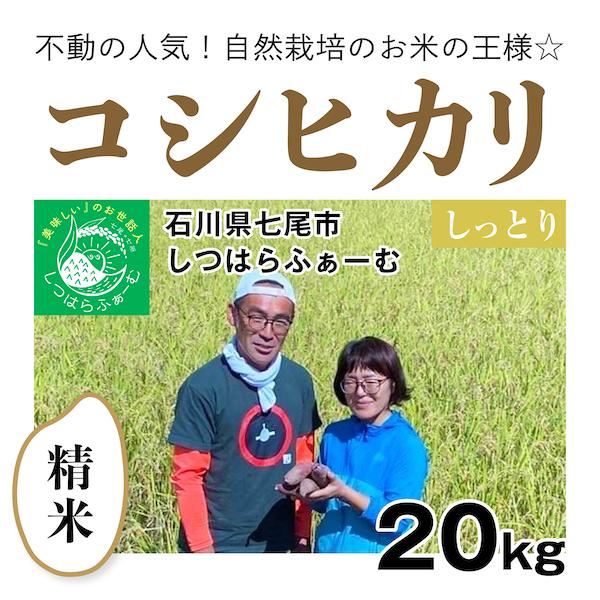 精米20kg「自然栽培のコシヒカリ」(石川県七尾市)しつはらふぁーむ　自然栽培＠のと 無施肥 令和5年産