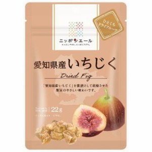 全国農協食品 愛知県産いちじくドライフルーツ22g ×6