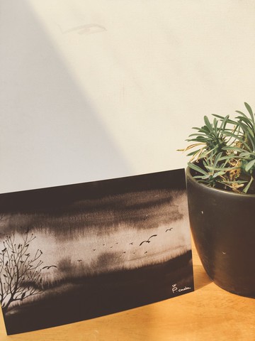 故事明信片-單色鳥系列-黑色國度