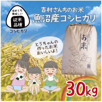 ふるさと納税 十日町市 |従来品種| 魚沼産 コシヒカリ 精米 30kg 新潟県 十日町市 吉村さんちのお米