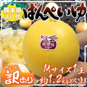 熊本県八代特産 ”晩白柚” ばんぺいゆ ちょっと訳あり Mサイズ 1玉 約1.2kg前後