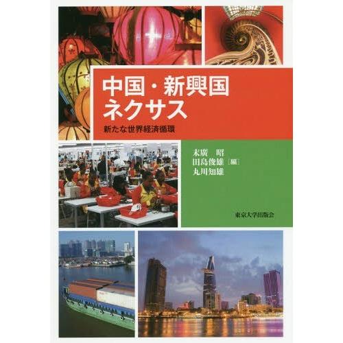 中国・新興国ネクサス 新たな世界経済循環 末廣昭 編 田島俊雄 丸川知雄