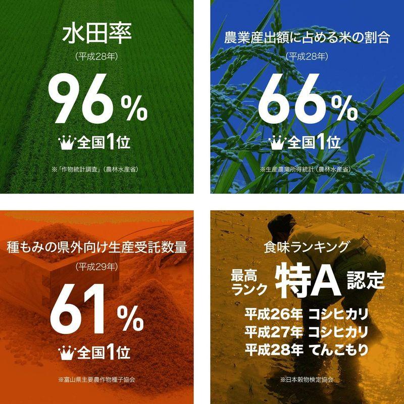 精米 富山県産 白米 コシヒカリ 5kg 令和4年産