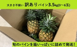 訳あり 2024年 先行予約 セット 旬のパイン 3.5kg 3～6玉 大きさ不揃いでも箱にいっぱい！果物 フルーツ