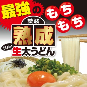 送料無料 激ウマ 熟成 生ちょい太 讃岐うどん ドーンと 6食 便利な個包装 300g×2袋 600g 最安値 挑戦