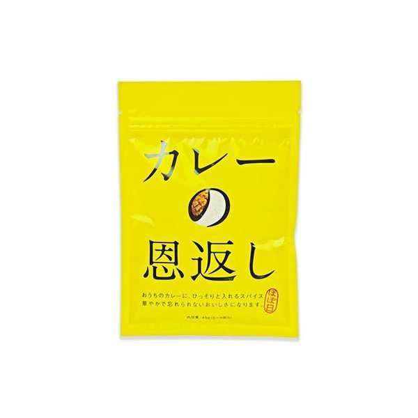 カレー スパイス ほぼ日 カレーの恩返し 40g メール便で送料無料