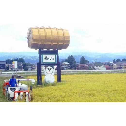 ふるさと納税 新潟県 十日町市 魚沼産 コシヒカリ 10kg 特別栽培米 魚沼の宝物 嘉六 農家のこだわり 新潟県 十日町市 こしひかり お米 こめ 白米 …