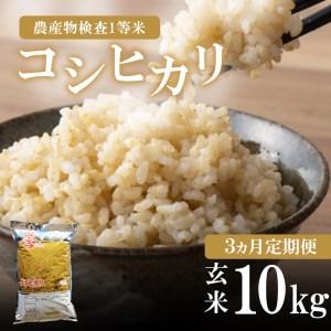 ふるさと納税 定期便 コシヒカリ 玄米 10kg 3回定期 真岡産 栃木県真岡市