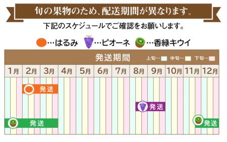 季節のフルーツ 人気 厳選 高松市 3回 [旬な季節に合計3回発送]定期便H