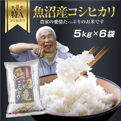 ふるさと納税 新潟県 新潟県 魚沼産 コシヒカリ お米 30kg こしひかり 精米(お米の美味しい炊き方ガイド付き)