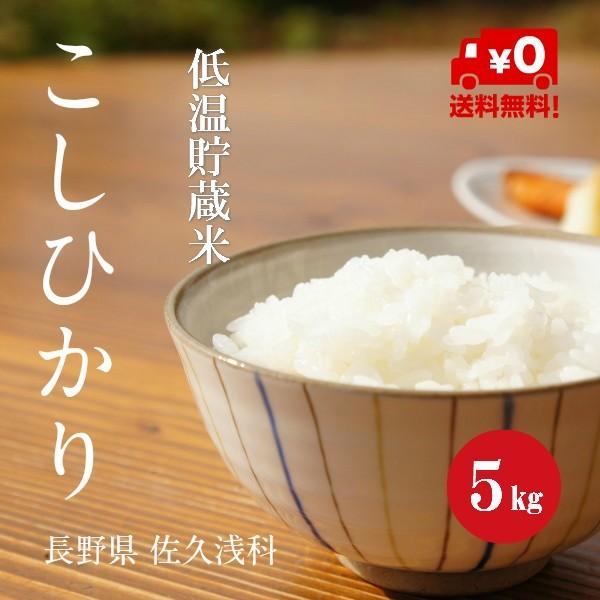 新米 令和５年産 長野県産 こしひかり 浅科産 １等米 白米 ５kg