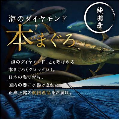 ふるさと納税 越前市 本まぐろ 中トロ 250g(柵どり)