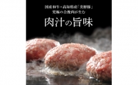 食べ比べ！老舗レストランの国産牛・美鮮豚ハンバーグ130g×6ケ＋ソース3種各1袋 ハンバーグ セット 11000円 トマトソース デミグラス 牛肉 豚肉 和牛 美味しい おいしい 小分けパック 個包装 冷凍 故郷納税 返礼品 高知 贈り物 ギフト 熨斗