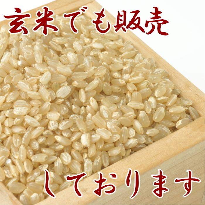 令和５年 お米 送料無料 ひとめぼれ 白米 20kg 岩手県産 あすつく  安い 美味しい