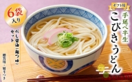 手延べ半生こびきうどん 6袋入り だし醤油(麺つゆ)セット（贈答用・熨斗つき）