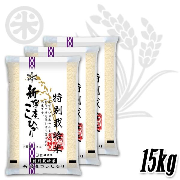 [新米 令和5年産] 新潟産コシヒカリ 特別栽培米 15kg (5kg×3袋) 減農薬 減化学肥料 新潟米 こしひかり お米 白米 送料無料 ギフト対応