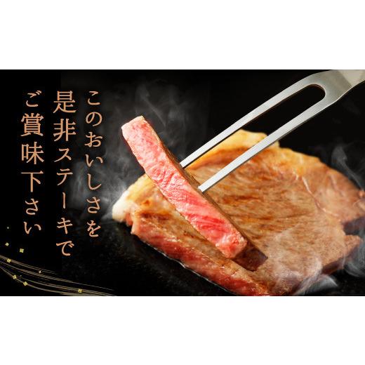 ふるさと納税 熊本県 宇城市 和牛 サーロイン ステーキ 1kg（250g×4枚）黒毛和牛 牛肉