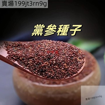 現貨🐸野黨參種子 （150粒）當季新種中藥材白條明黨參七大常用參種子 春秋播 好養護 名貴中藥材原材料植物種子 可盆栽