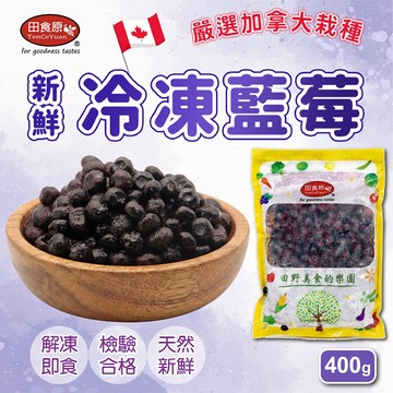 【田食原】鮮凍加拿大栽種藍莓 400g 解凍即食 冷凍水果 超營養 輕食餐 冷凍鮮果 多種料理搭配